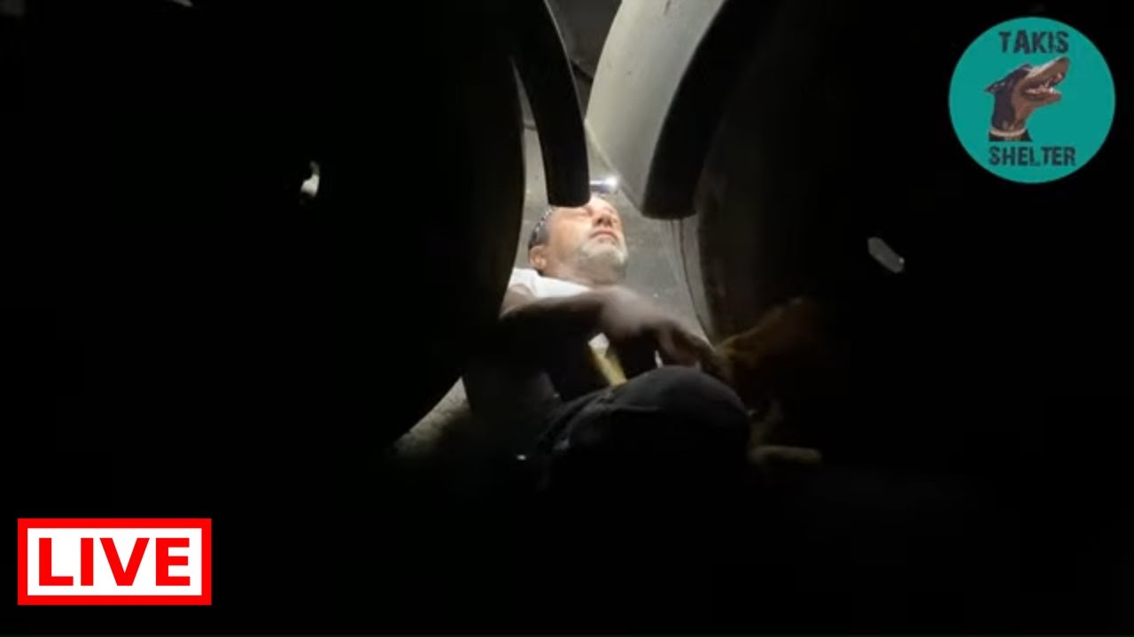 There is a kitten under the truck - Takis shelter