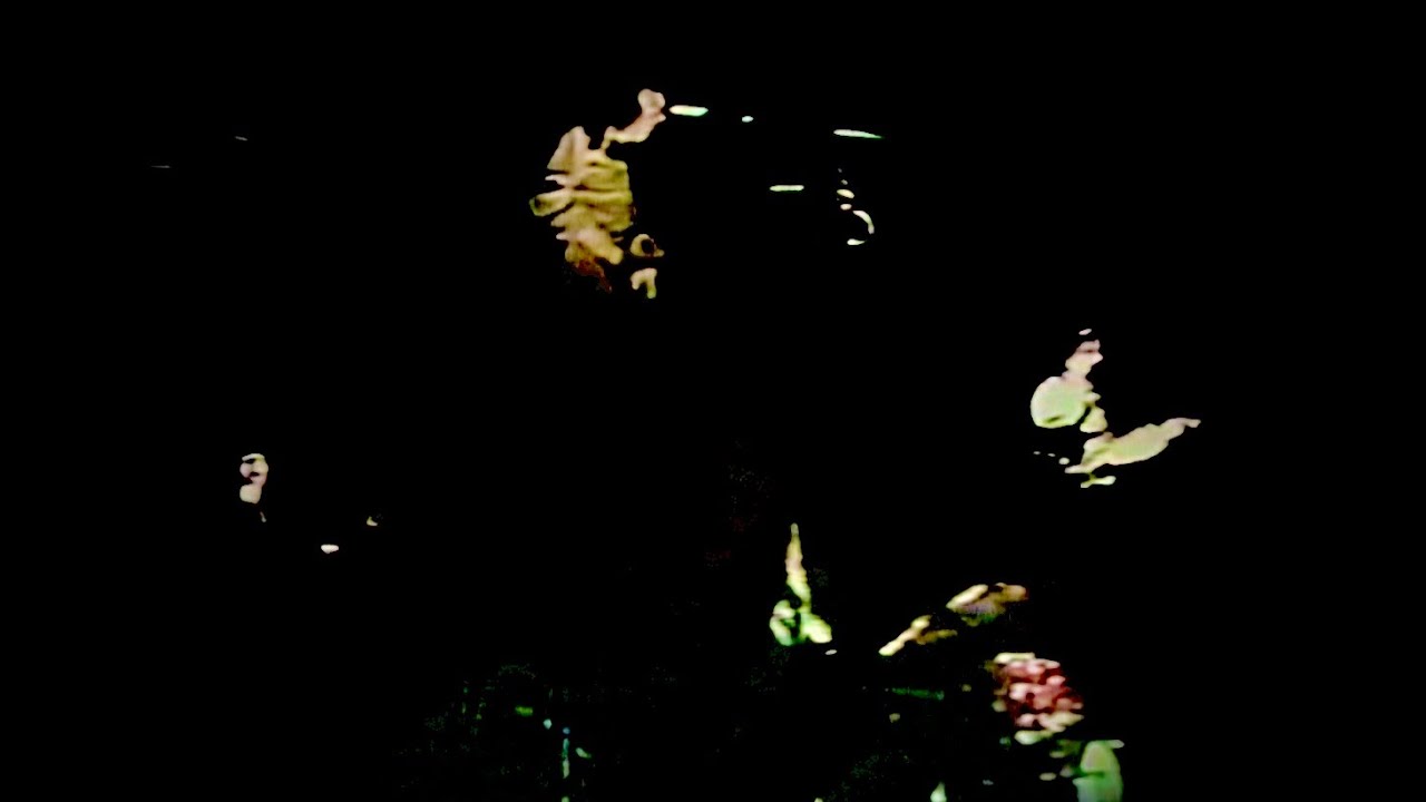 Badfinger - No Matter What - (Larry Kane Show)