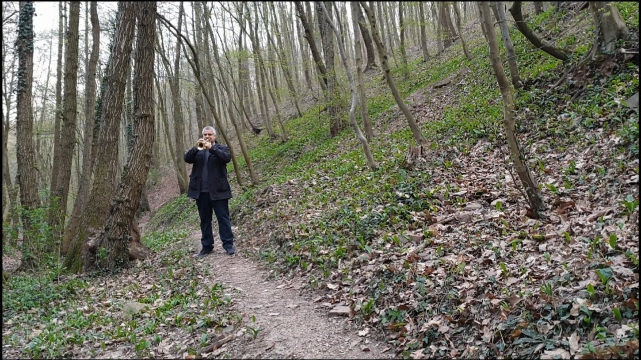 Kovács Szilárd Ferenc: Hogyha hozzád járulunk