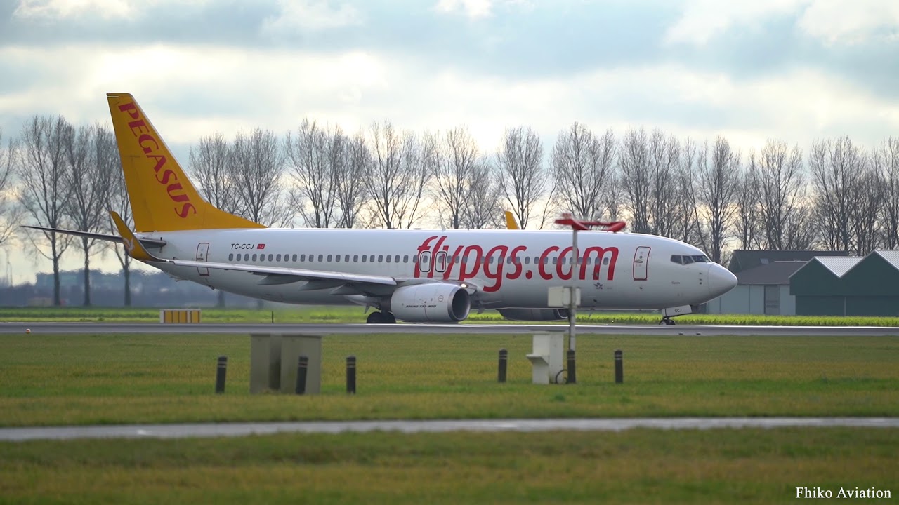 (4K)PEGASUS Boeing 737 (TC-CCJ) Close-Up Take Off From Schiphol | Planespotting
