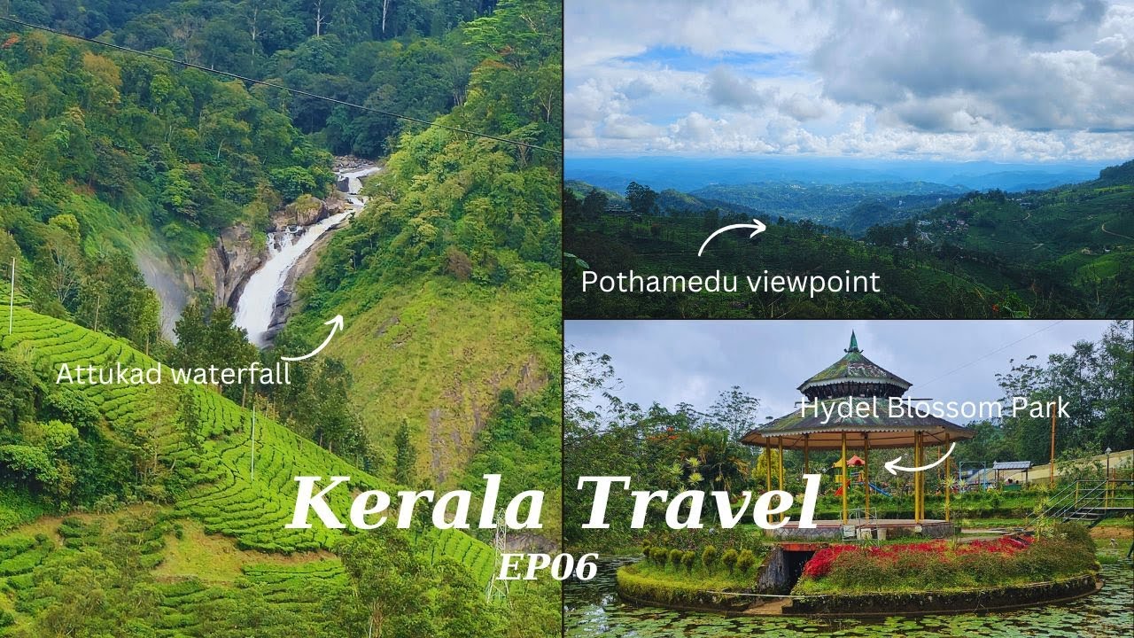 EP06:- Exploring Tea Factory, Attukad Waterfall, Blossom Hydel Park, Pothamedu viewpoint  #kerala