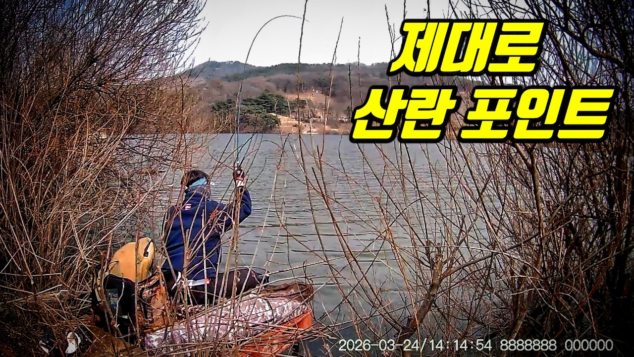 [산란기 대박] 산란 포인트 제대로 찾았습니다! 팔 떨어지게 챔질만 하다 왔네요