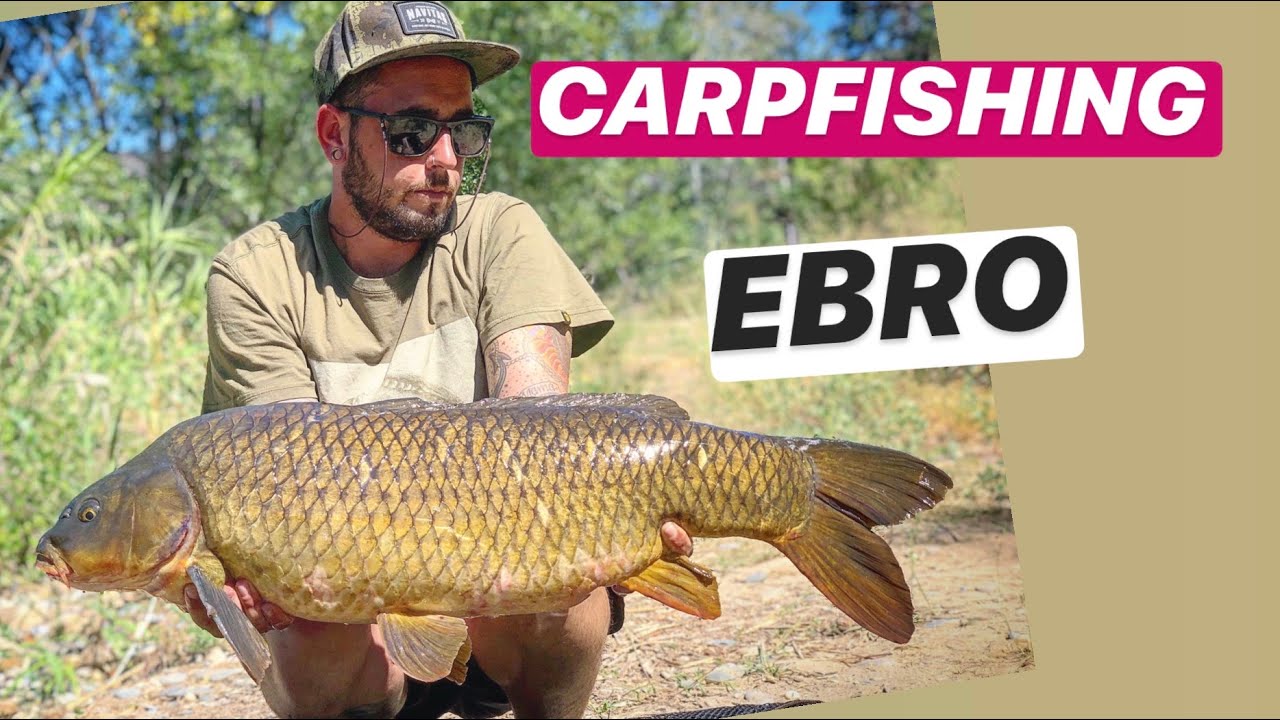 CARPFISHING EBRO/ RIBAROJA/ PESCANDO EN EL EBRO