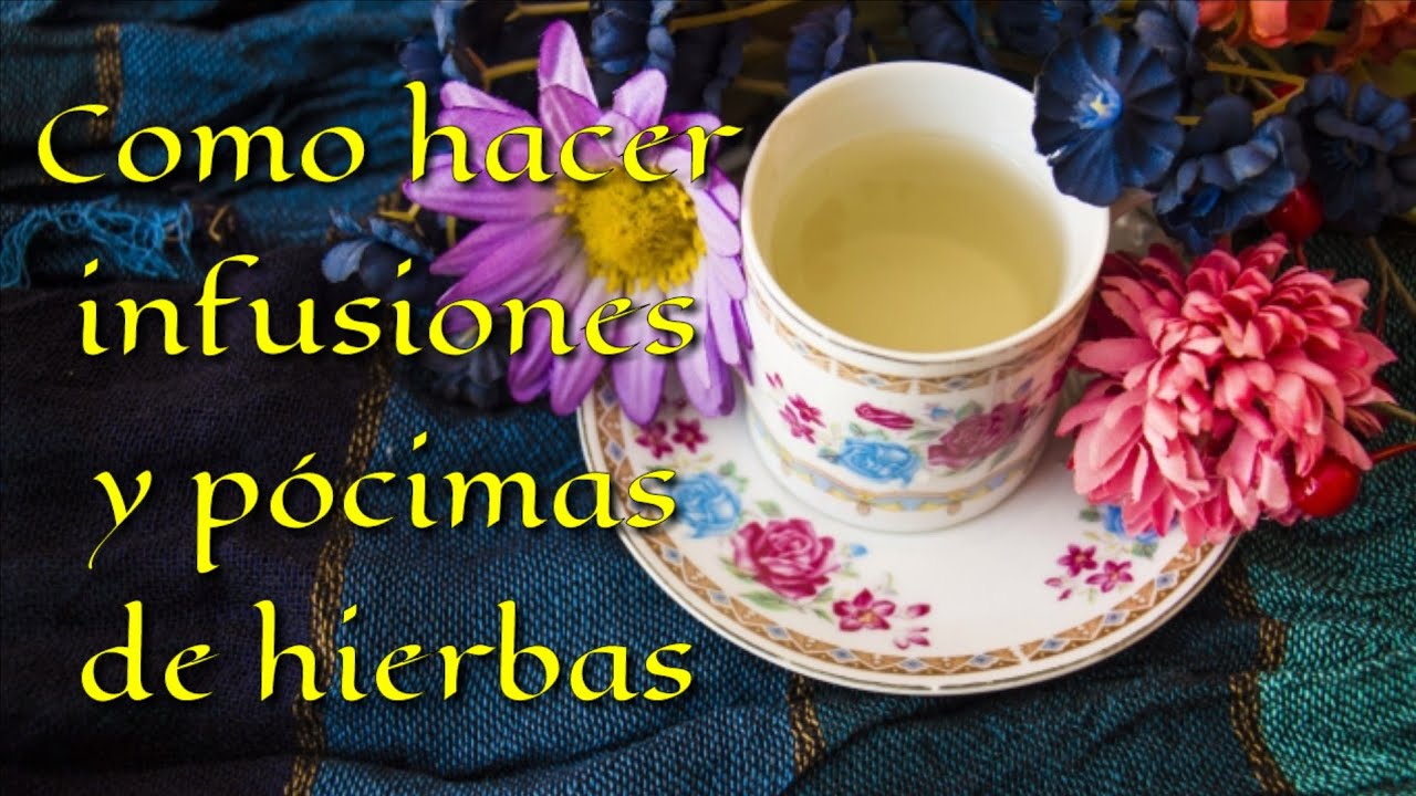 COMO HACER INFUSIONES DE HIERBAS 🌿🍵 LA P&Oacute;CIMA PERFECTA!!