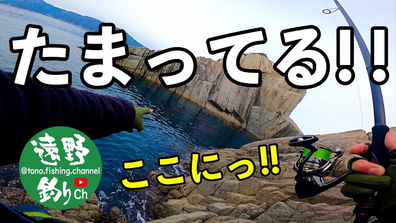 【三陸磯ロック】たまっていた。ここに、デカイ魚が！！