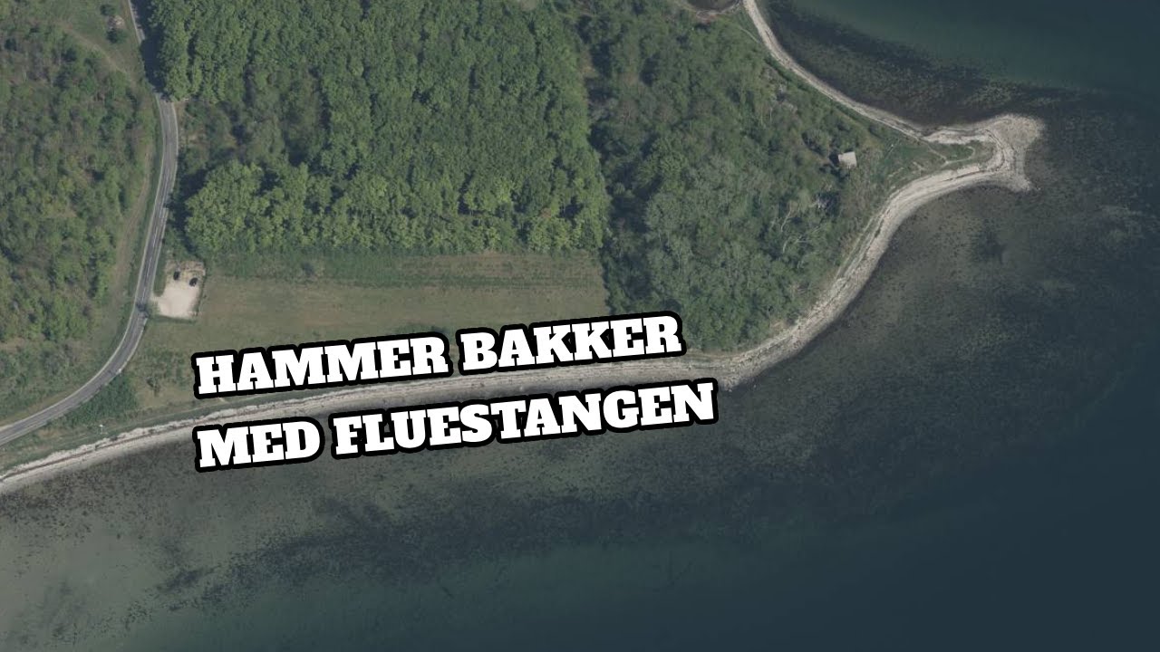Hammer Bakker - Glemt perle til havørredfiskeri
