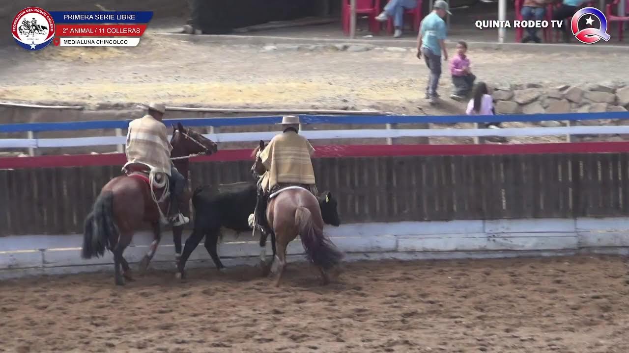 PRIMERA SERIE LIBRE / Rodeo Club CHINCOLCO  Asoc. PETORCA - 31 de Enero y  01 de Febrero - 2025.