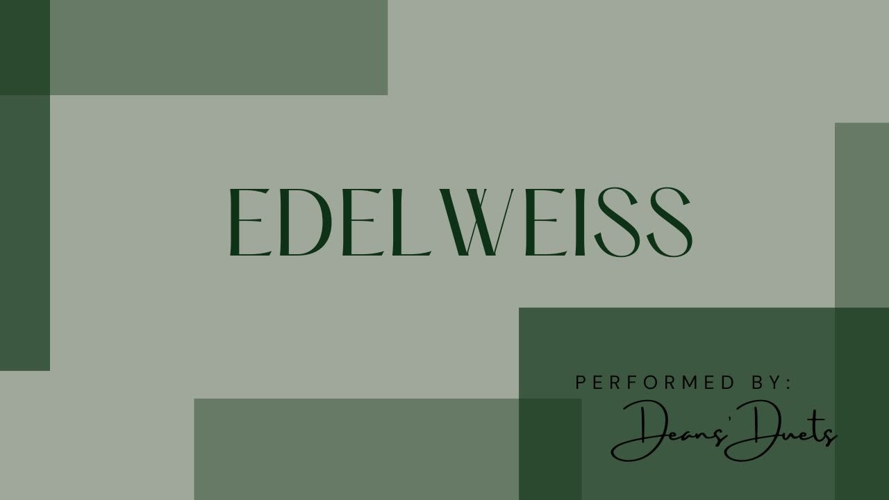 Edelweiss - Wedding Orchestra