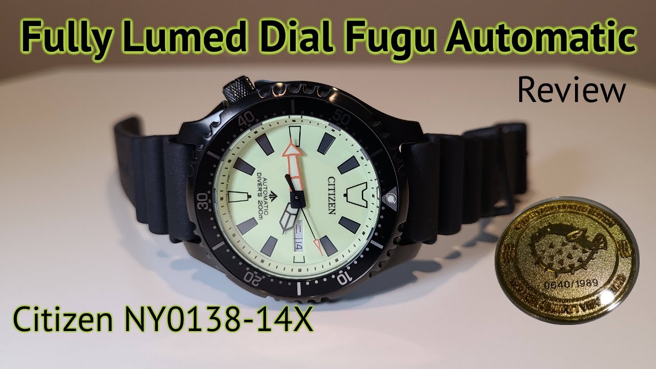 Citizen Still Makes Automatics? NY0138-14X Fugu Promaster Review