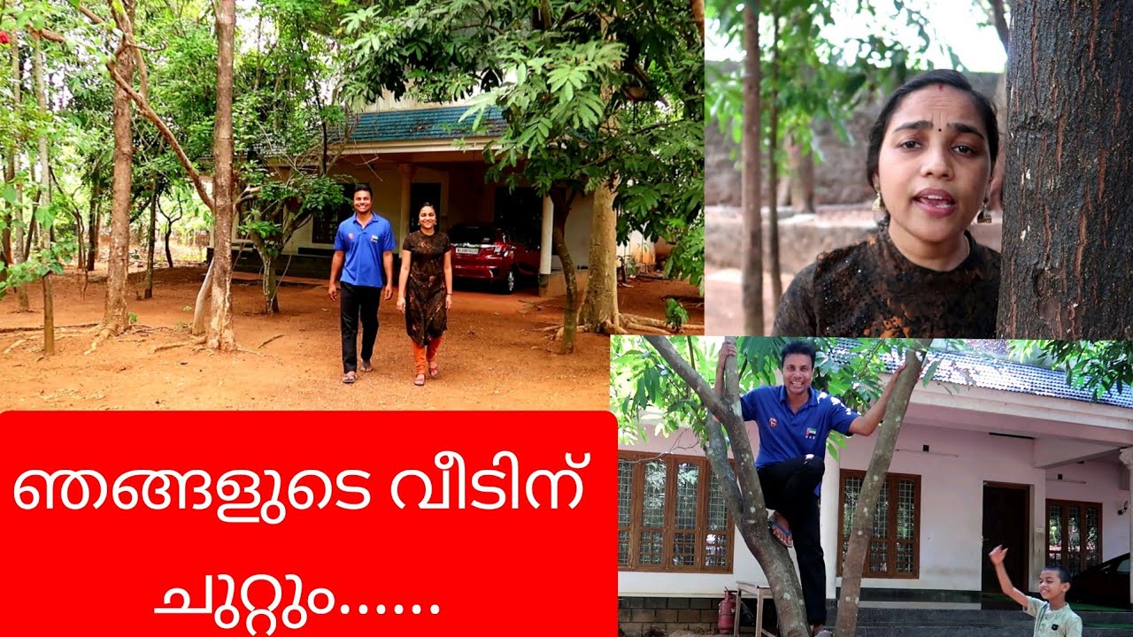 ഞങ്ങളുടെ വീടിന് ചുറ്റും.... //AJU'S WORLD