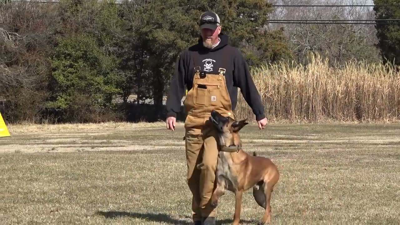 Ваш первый случай булимии? Вот как сохранить спокойствие | Имитация булимии с Ларри