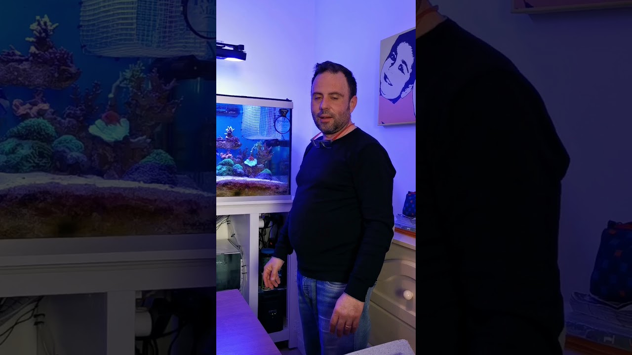 Unboxing da Acquari d'Elite e Acclimatazione Pesci