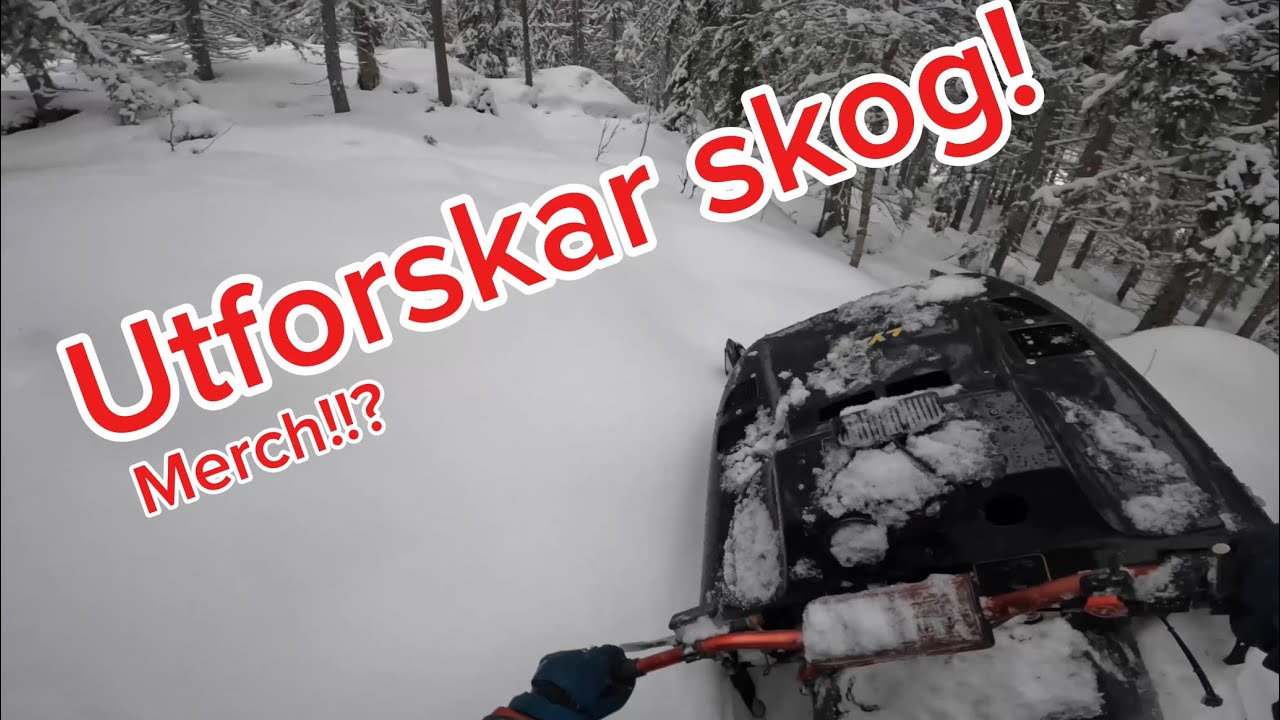 (Utforskar orörd skog med Fetnian!! | Ska vi redan sälja merch?