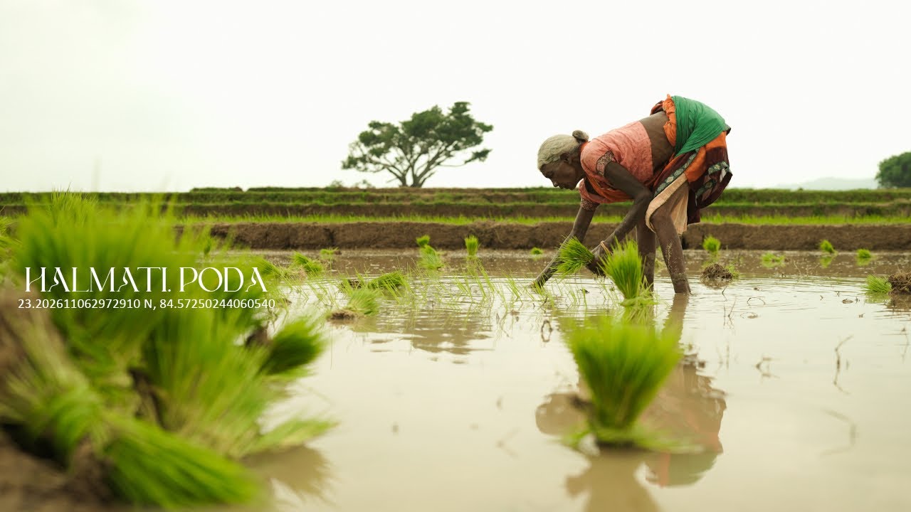 Regenerating - Farmers as well Soil