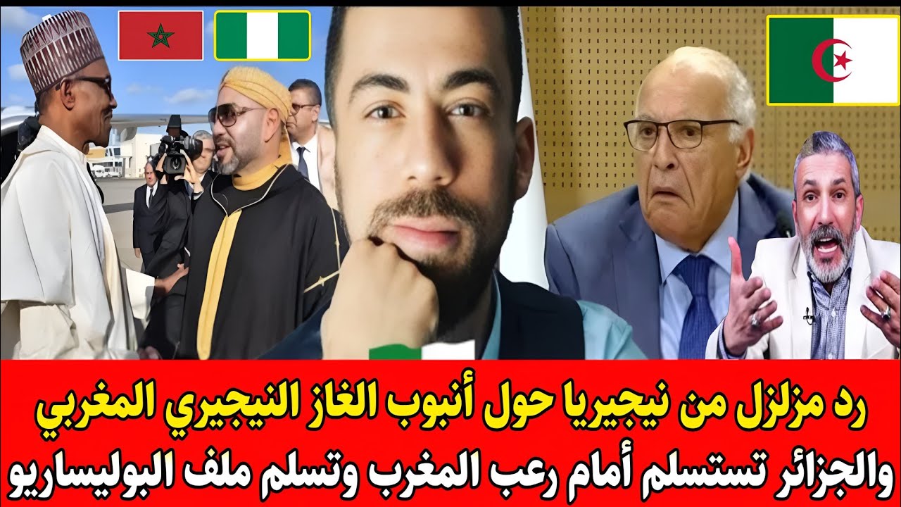 لايـ.ـف صادم لشوقي بن زهرة يفـ.ـجر رد مزلزل من نيجيريا حول أنبوب لغاز نيجيري لمغربي والجزائر تستسلم