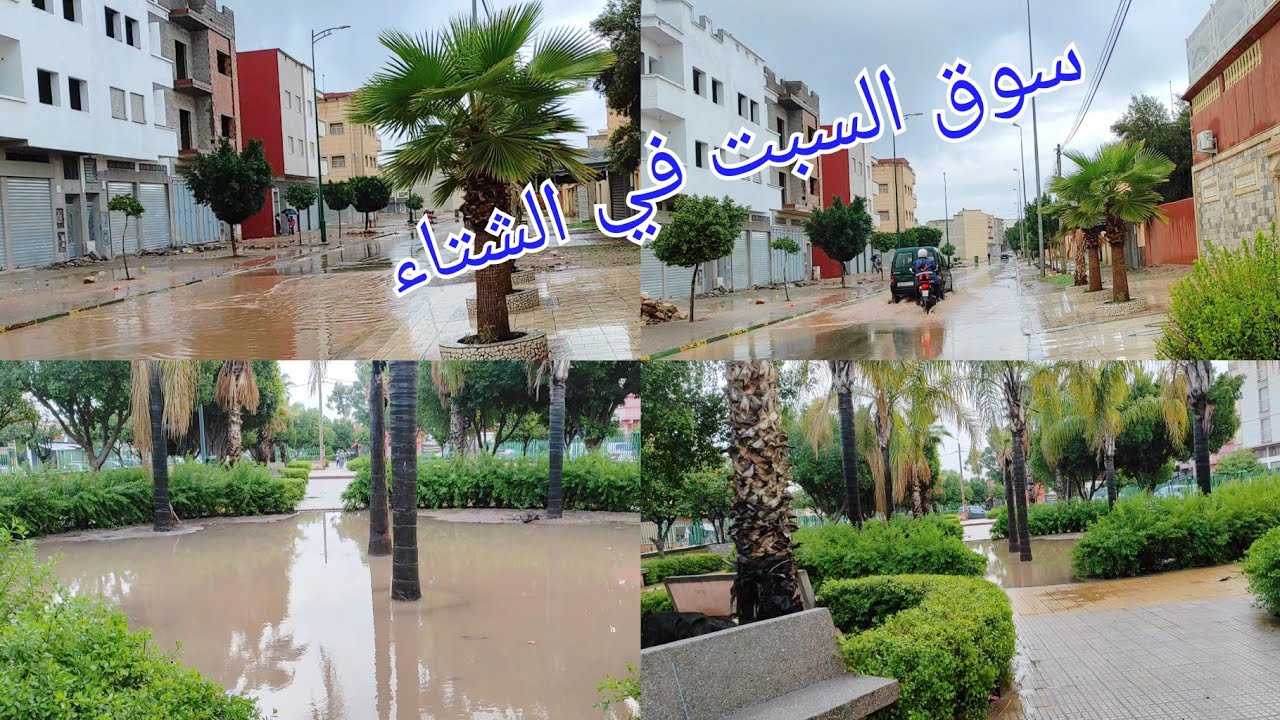 جولة مع صوت المطر / ماشاء الله 