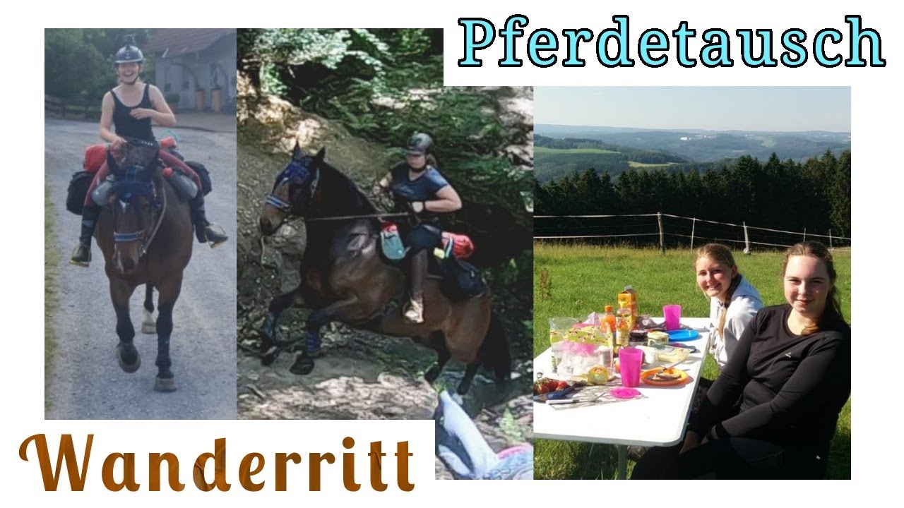 Wanderritt mit Pferd ohne Augen - Pferdetausch und knarrende Holzbrücke - Tag 3 (letzter Tag)