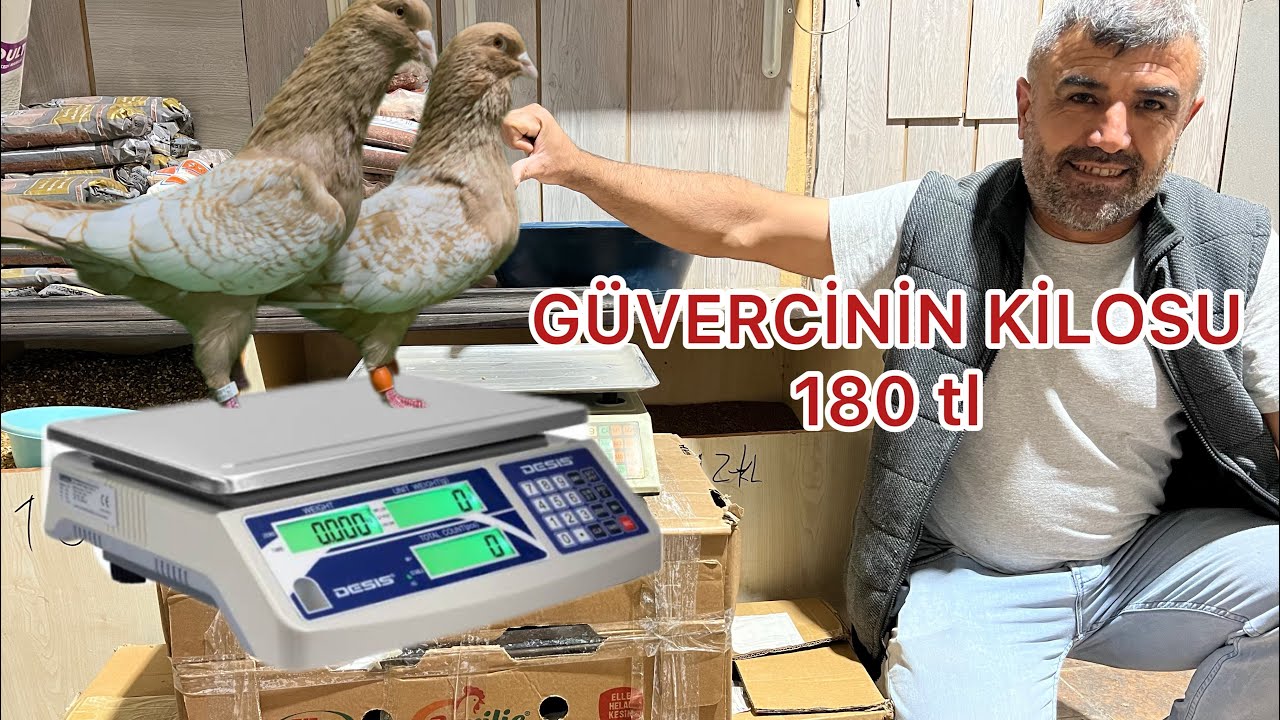 TERAZİYE KOYDUK TARTARAK KİLO İLE KUŞ ALDIK  NELER SEÇTİM BAKIN