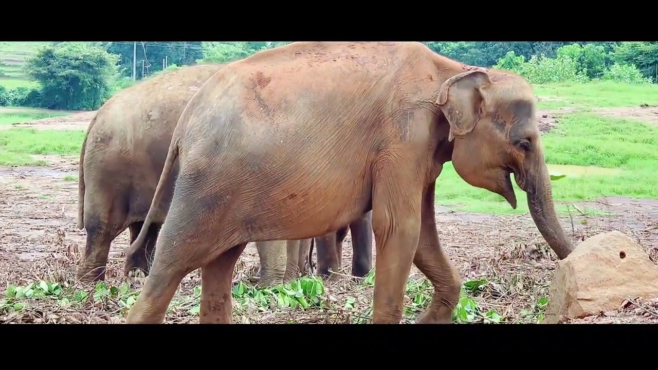 Spent 2 Weeks in Sri Lanka – You Won’t Believe What Happened
