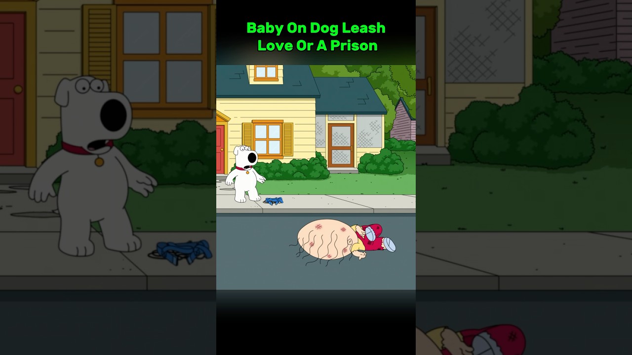 Stewie on a Leash,protection or loss of freedom #familyguy #funny #shorts #animation