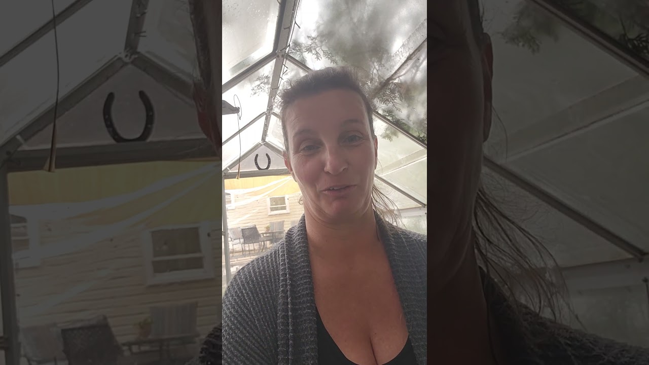 Greenhouse chats: soil vs dirt