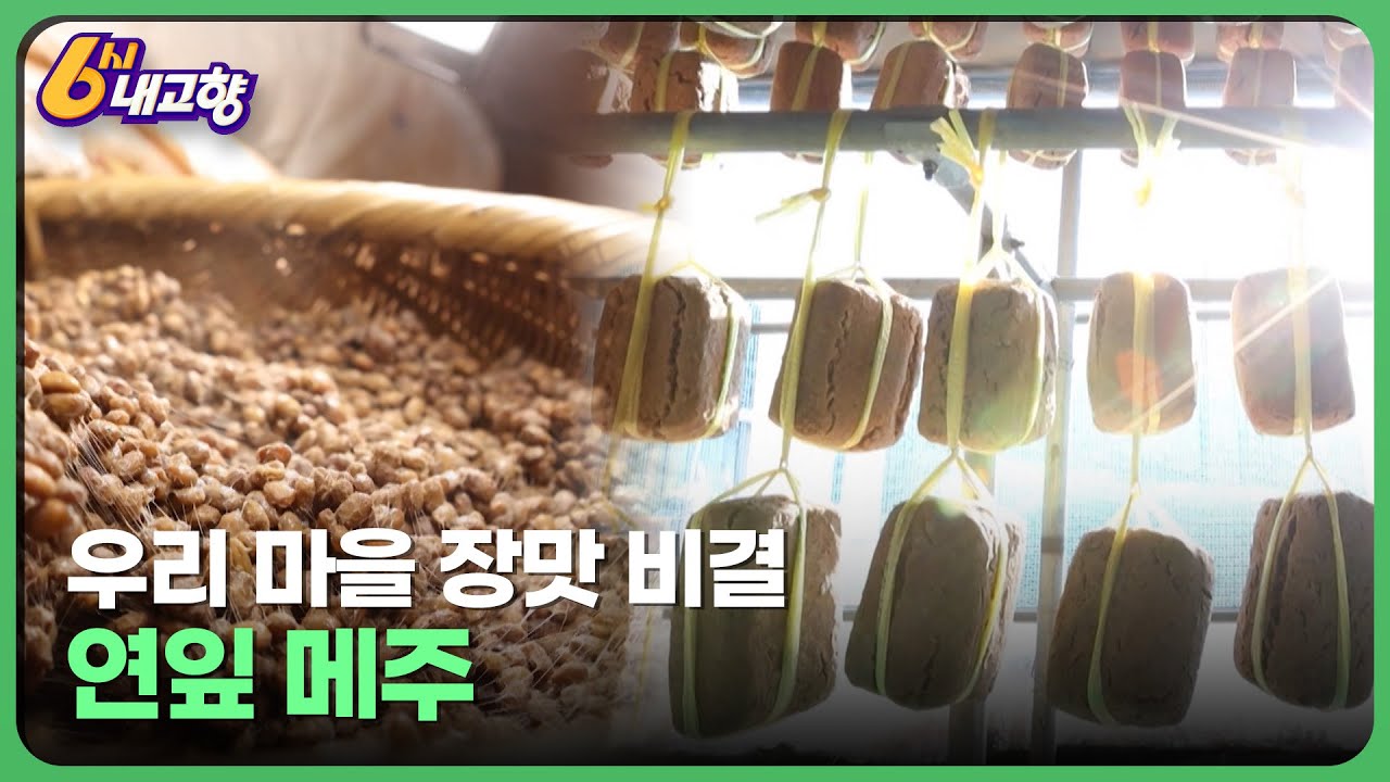 우리 마을 장맛 비결 '연잎 메주' - 전북 부안 | 6시 내고향 2022.12.15 | 재미 PLAY