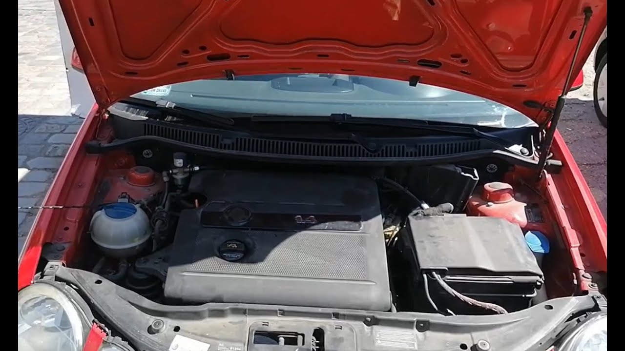sprawdzenie płynów eksploatacyjnych  w VW Polo.
