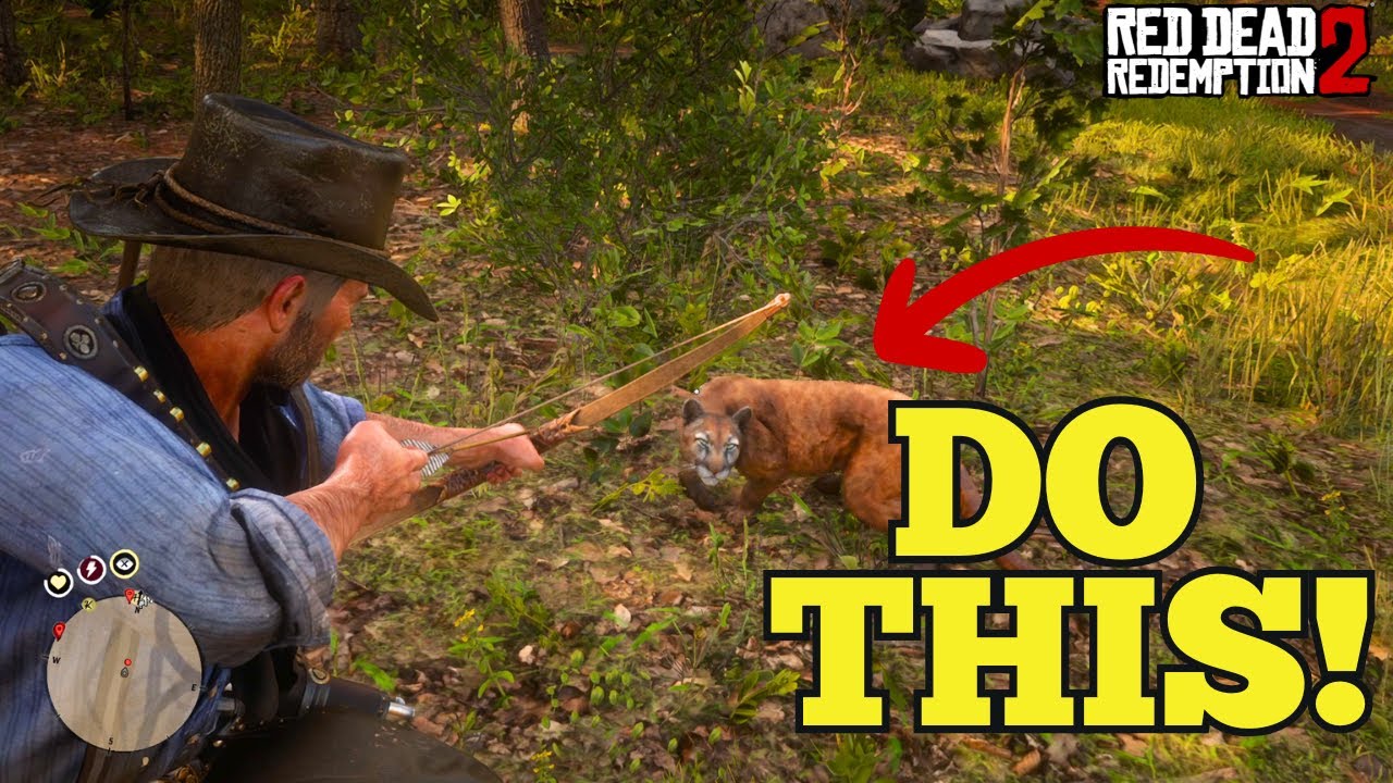 How to hunt Panther in RDR2 [ EASY METHOD ]