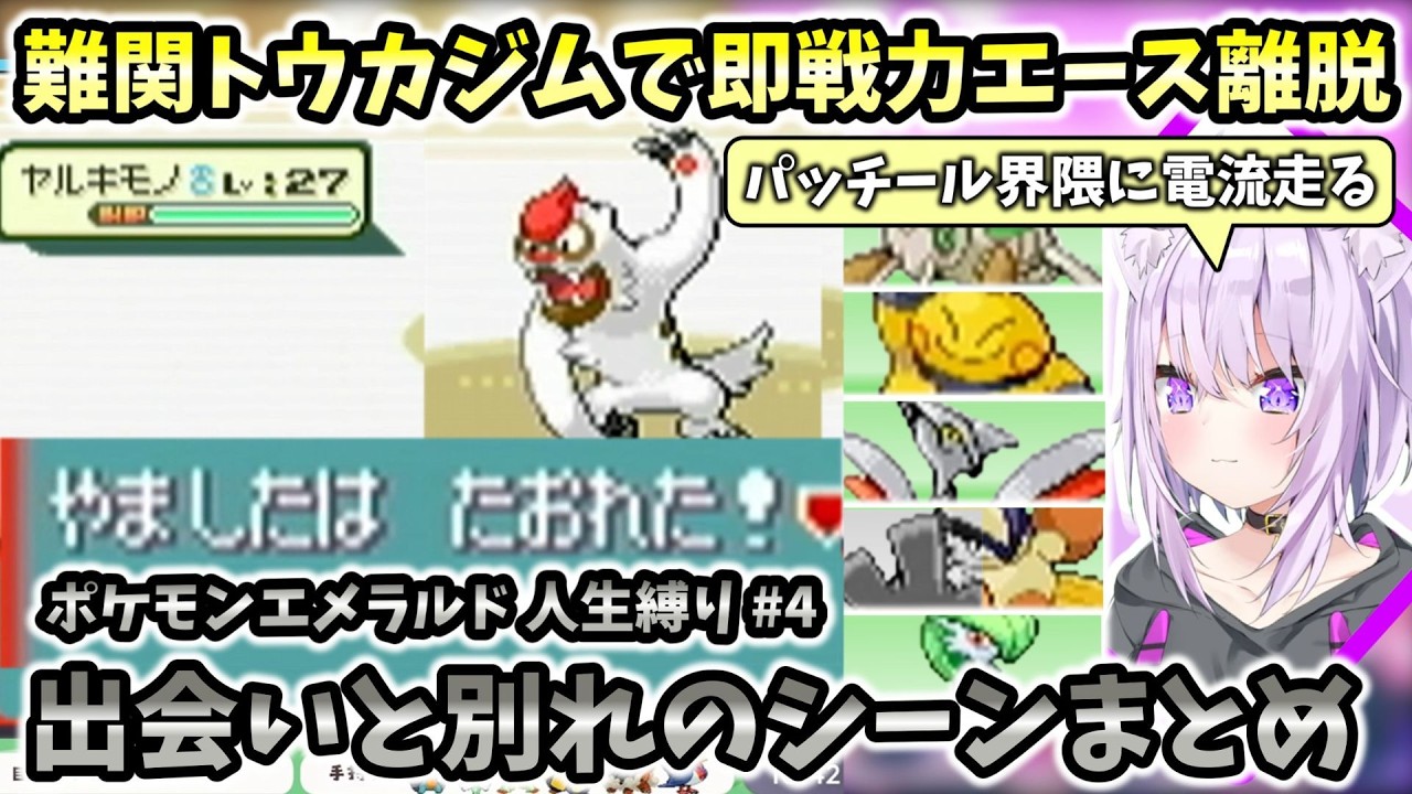 【ポケモン/エメラルド人生縛り】難関トウカジムで即戦力のエースがまさかの離脱！猫又おかゆさんのポケモンエメラルド人生縛り#4 出会いと別れのシーンまとめ【ホロライブ切り抜き / 猫又おかゆ】