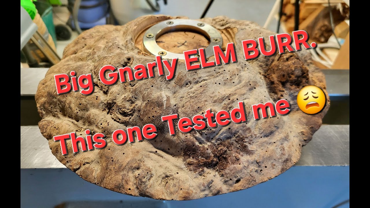 Big Bad Elm Burr with a few SUPRISES inside. #woodturning #latheprojects #woodart #irishwoodturning