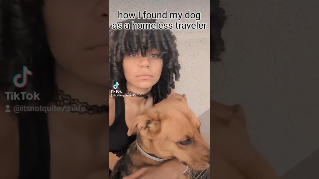 here's the story!! #nomad #homeless #survival #storytime #dog