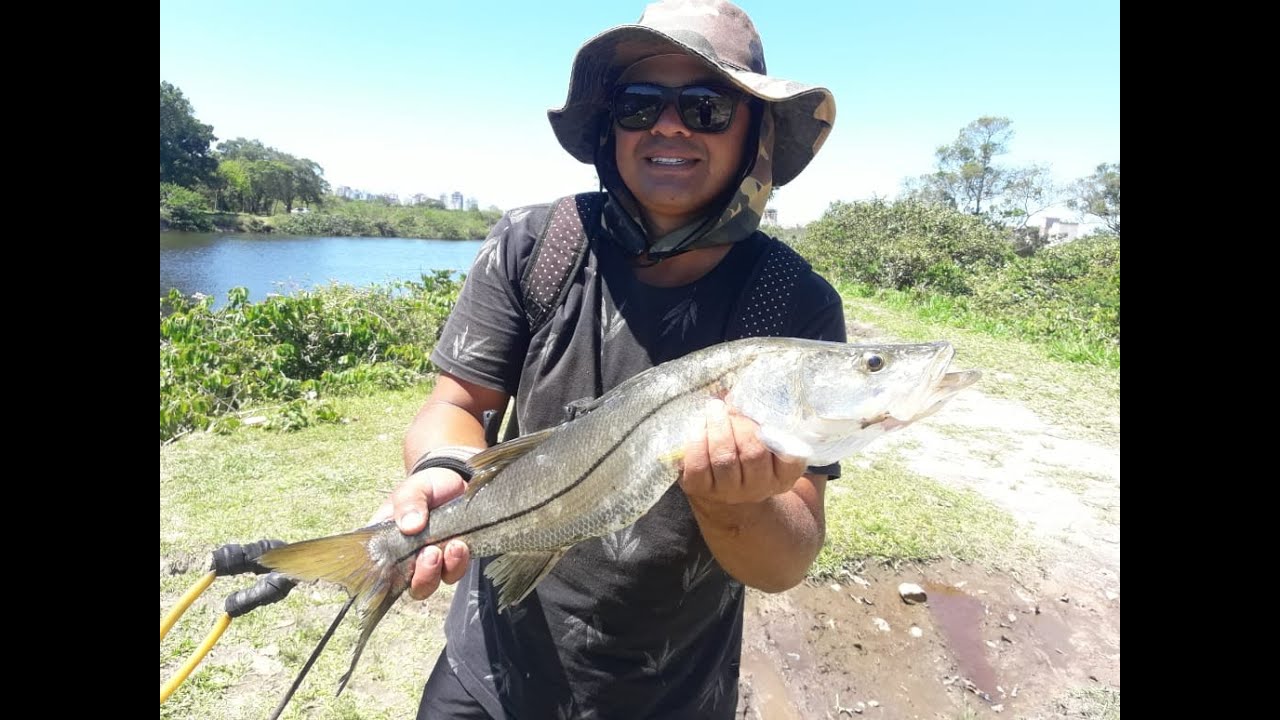 saiu robalo de 3,5 kl NO estilingue