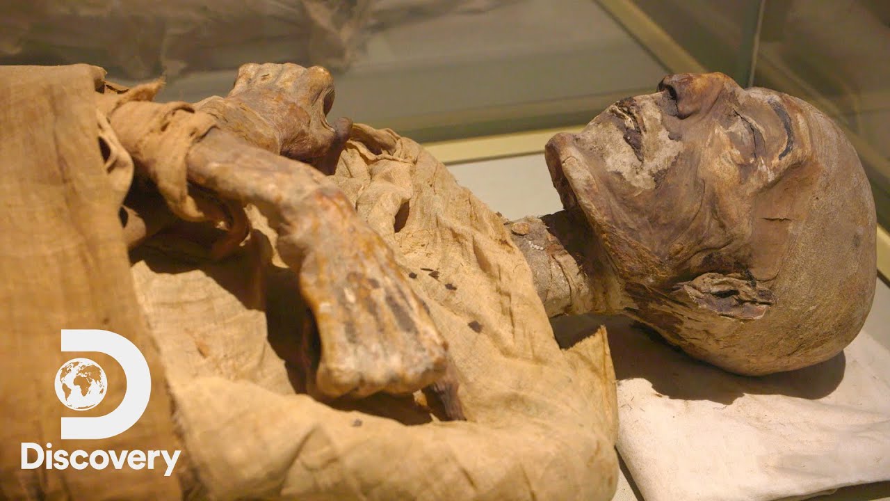 How Mummies Are Made | Expedition Unknown: Egypt LIVE