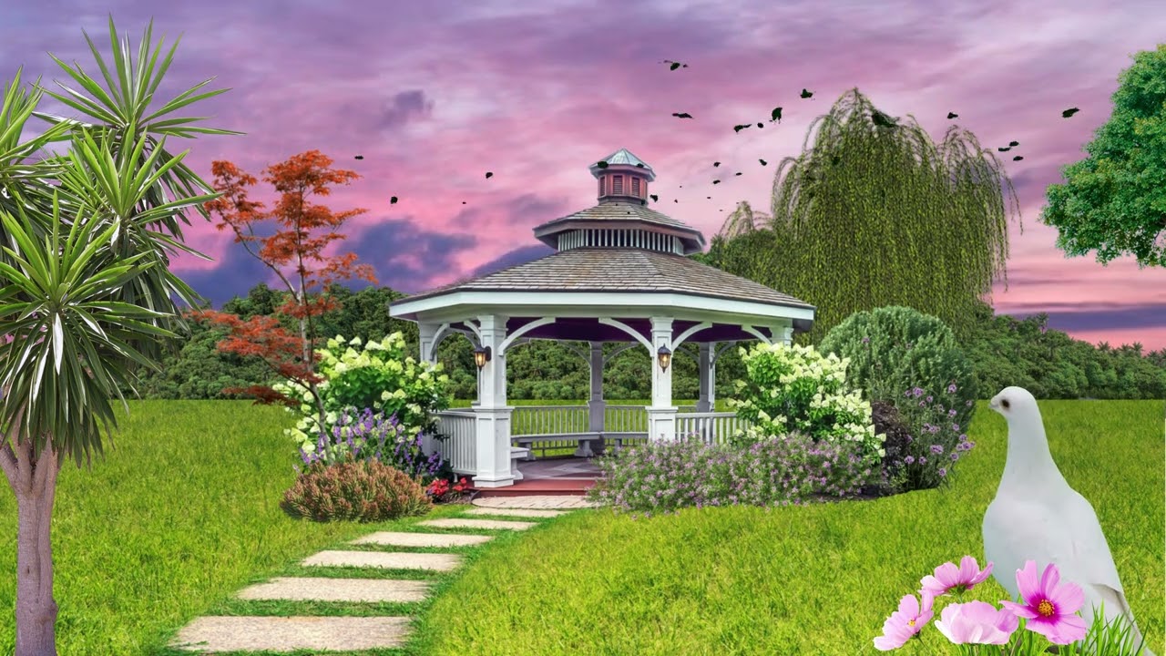 Background II Jardin II Garden II Gazebo II Arrière plan II Animation II Free II No Copyright II