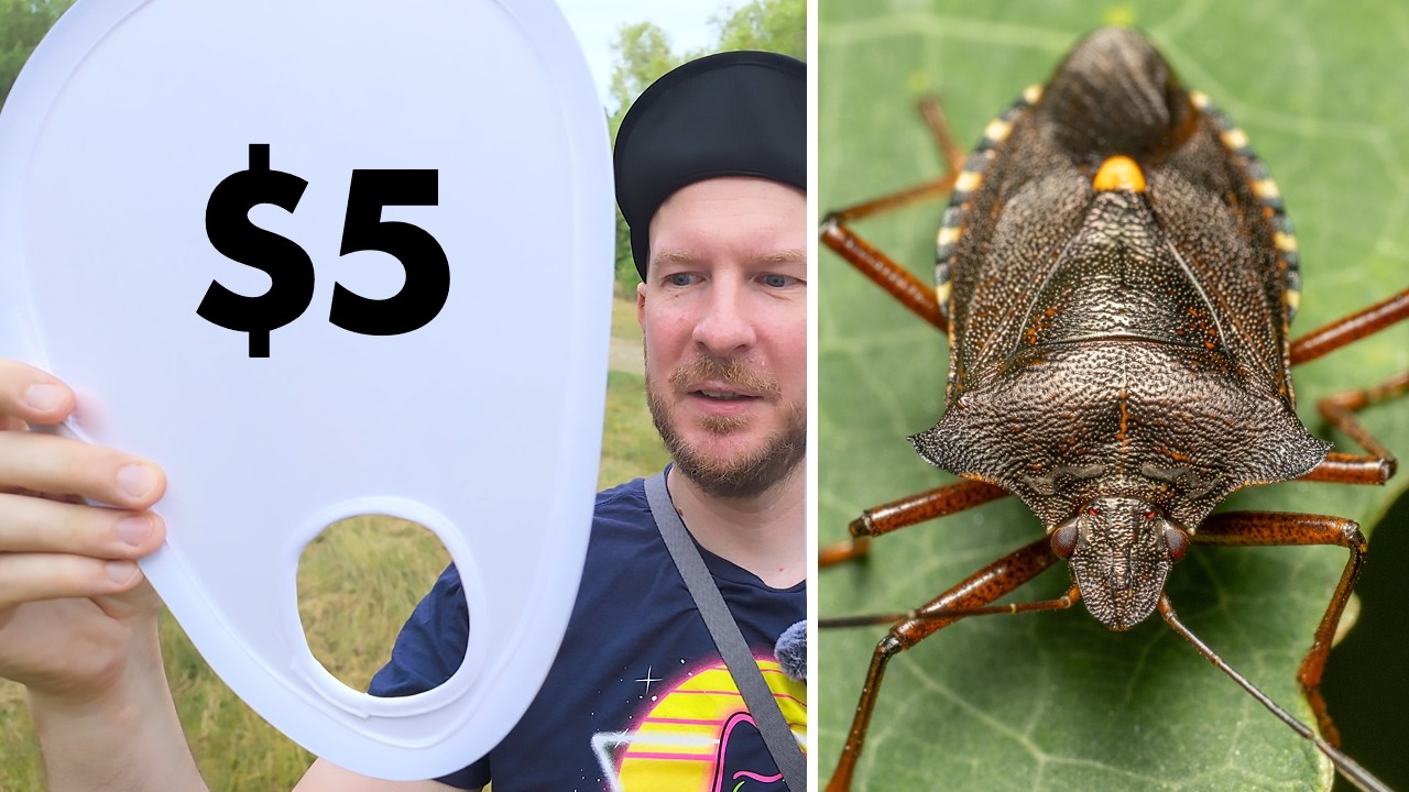I tried the Cheapest Macro Photography Diffuser
