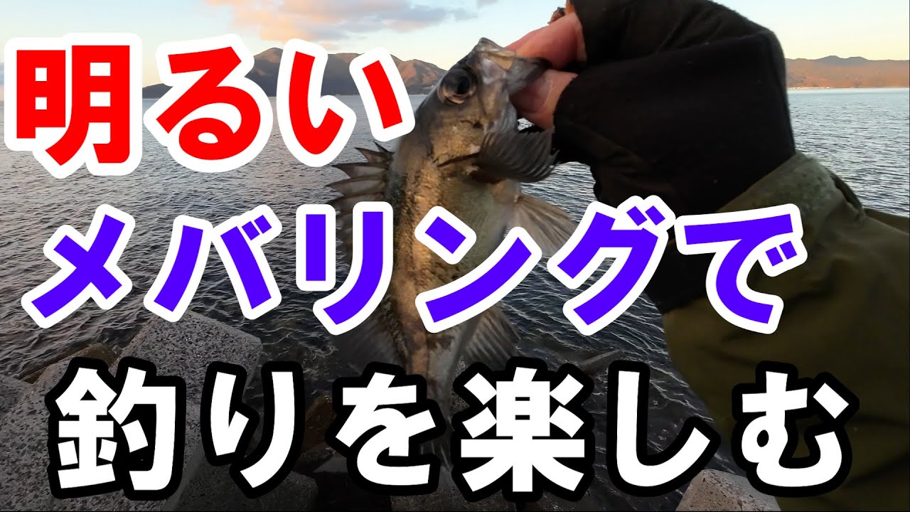 【メバリング】デイメバリング開幕のコツと肝