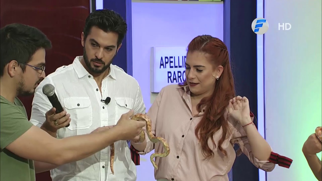 Mascotas insólitas | Las puertas de VLT