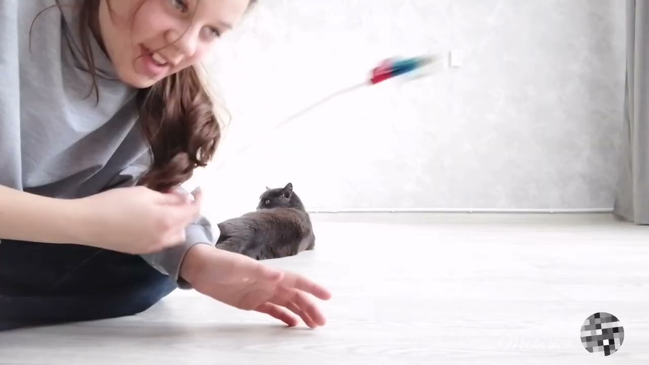 Играю с кошкой 😺