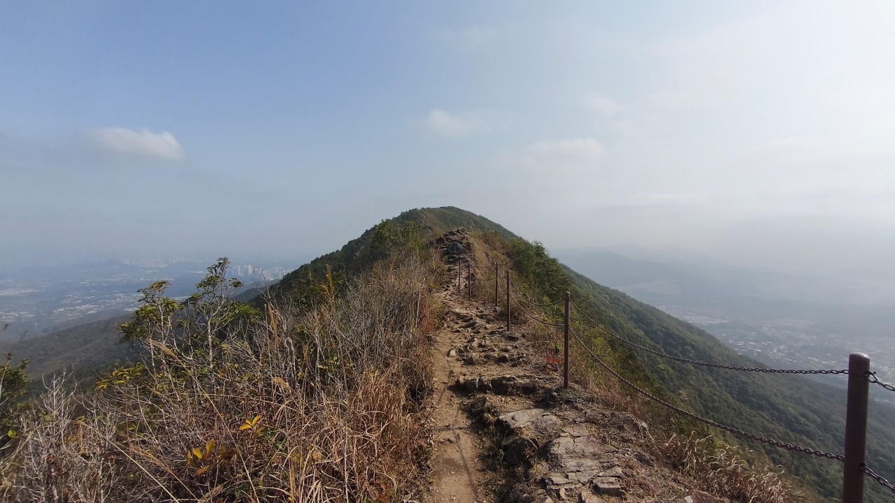 嘉道理農場,大刀屻,小刀屻(北大刀屻),箕勒仔,蝴蝶山,粉嶺@【平遊山野】香港行山 7.3.2026 (勝景隊/自由行)