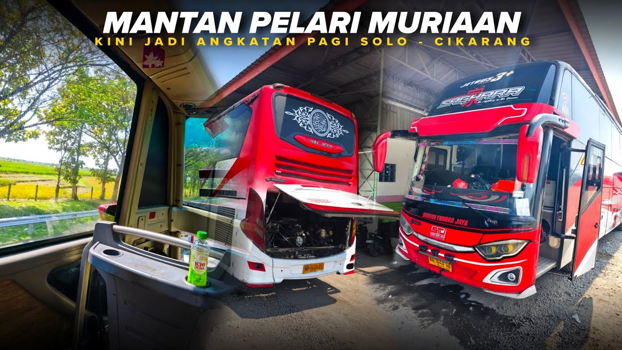 CUMA 230RB? MASIH SEPERTI MASA JAYANYA? ANGKATAN PAGI CIKARANG - SOLO | SUDIRO TUNGGA JAYA • SAGHARA
