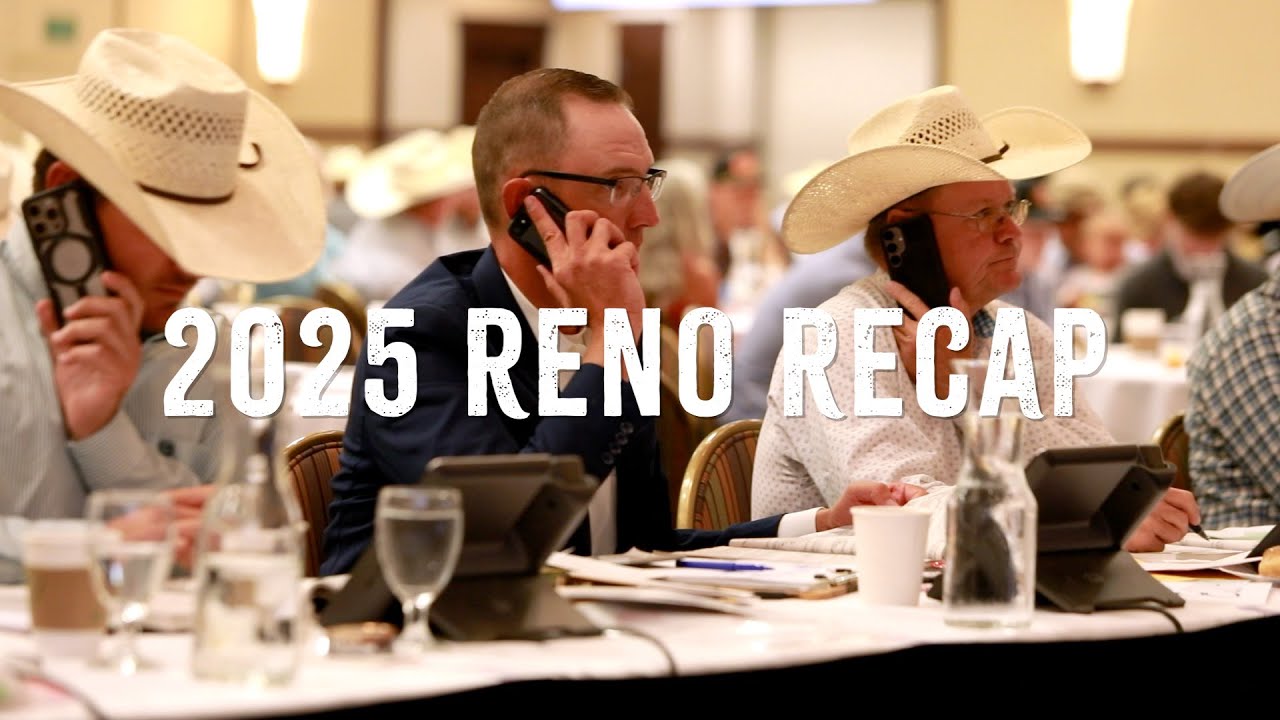 2025 Reno Recap