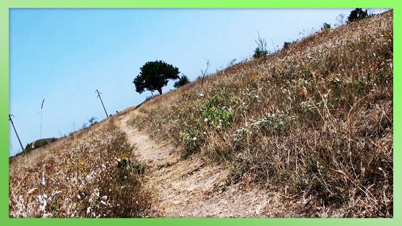 Nature Calling | Sony HDR-SR10E (Test Footage)