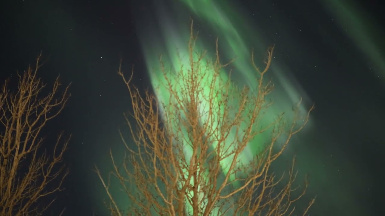 Aurora 11/1/2026