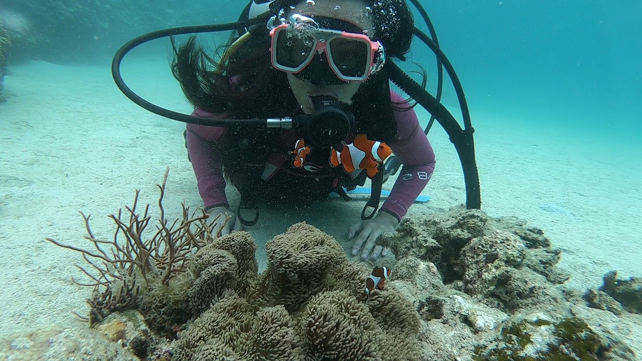discover scuba diving in maricaban island..very nice visibility