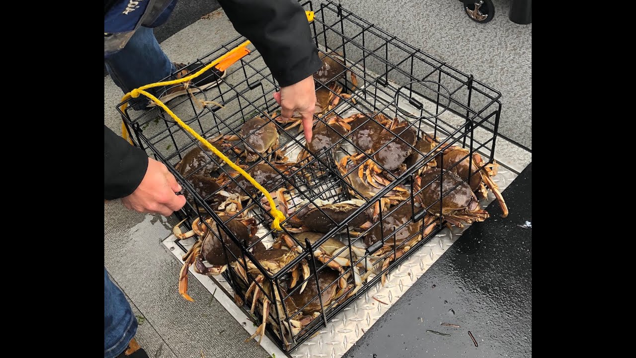 Crab Trap Rigging / Modifications