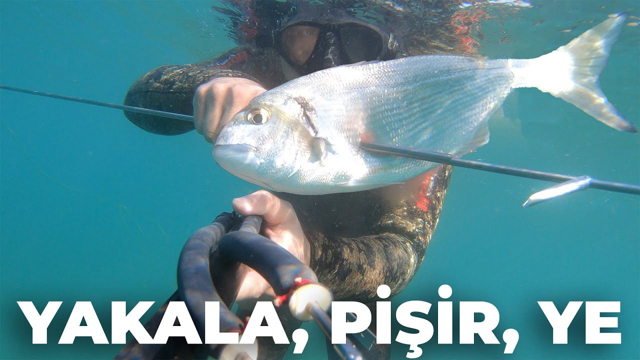 HARİKA GEÇEN BİR DALIŞ GÜNÜ - YAKALA PİŞİR YE - Zıpkınla Balık Avı Vlog - 24