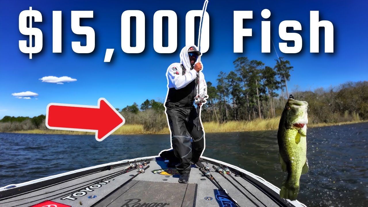 I MADE THE CUT On My LAST CAST (Down To The Wire)