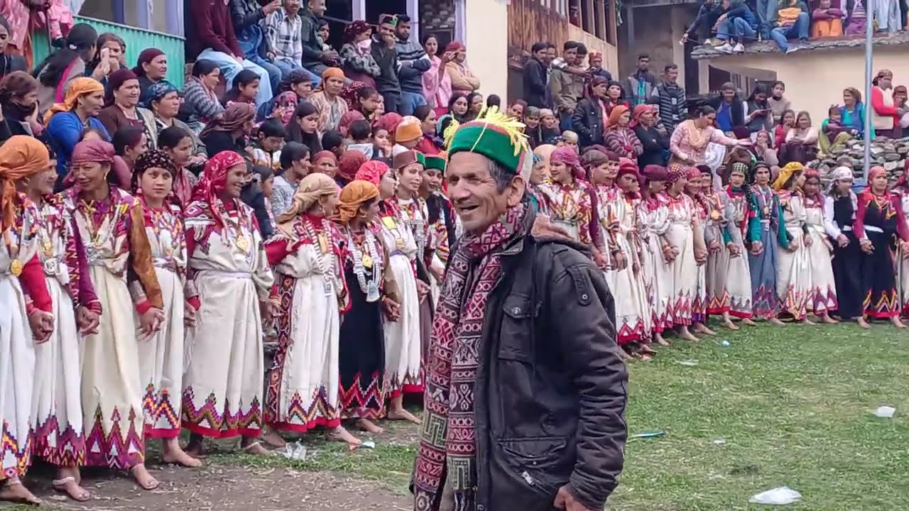 Kullu valley phadi naati || kulluvi naati || phadi naati