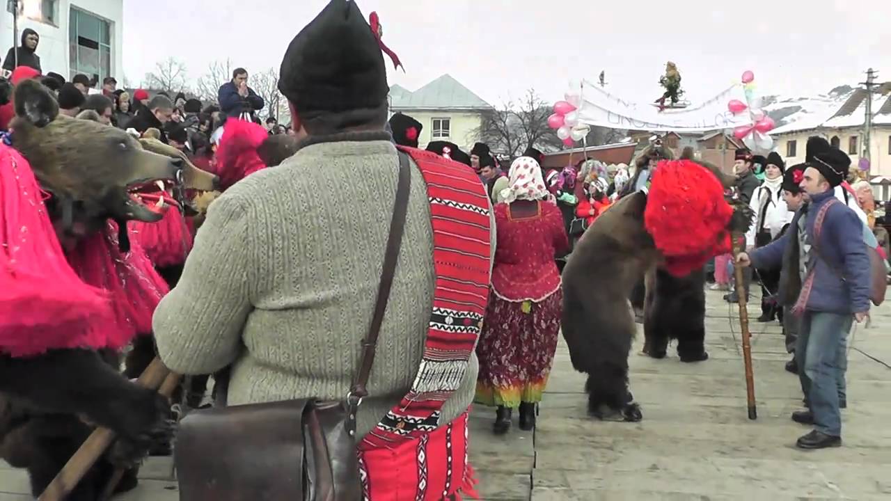 ursul de la darmanesti 2010-2011 ceata ungurenilor
