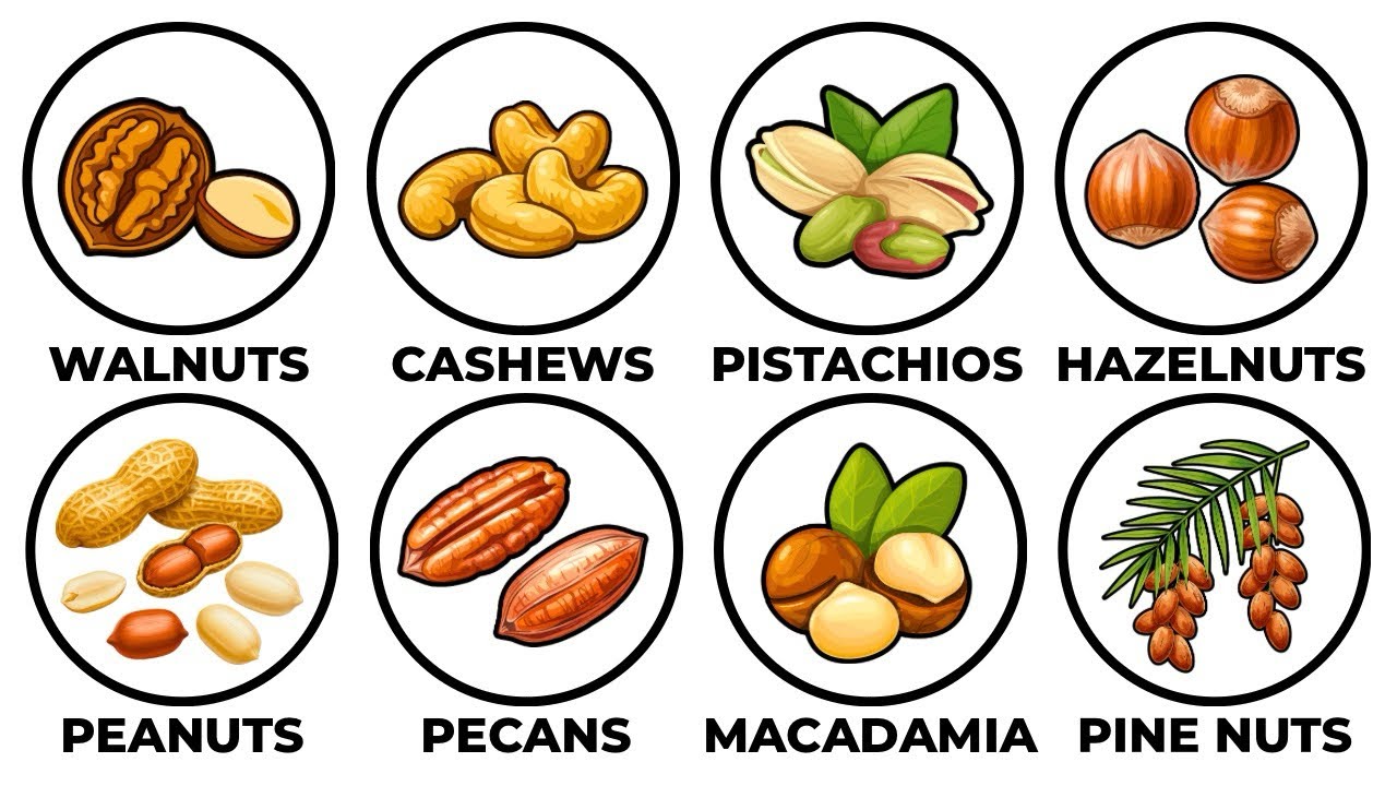 Every Nut and its Benefits Explained in 10 Minutes